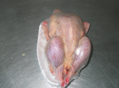 Cailles de Chanteloup - [SURGELÉ] Faisan/faisane Prêt À Cuire, Minimum 1kg