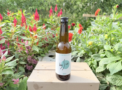 Nature et Saveurs - Ferme Aquaponique et Permacole Astérienne - Kombucha Brut Bio Bysco - 33cl