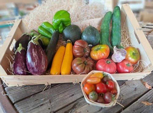 Les Jardins de Gérard - Panier légumes de saison Bio - 6 kg