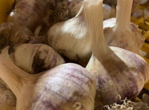 ChâteauFer - Ail 100g