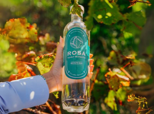 Maison Mounicq - Liqueur de Menthe Bordelaise ROSA