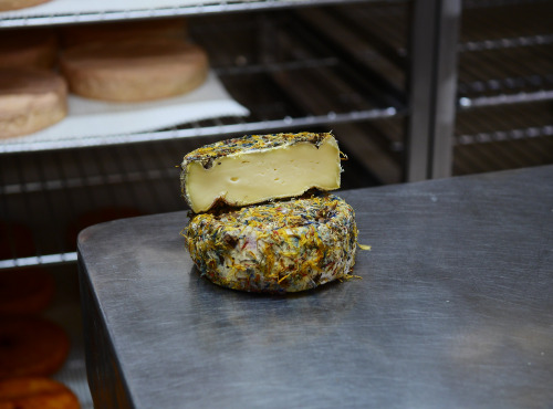 Alléosse Maitre Artisan Affineur Fromager - Fleurs des Lacs au lait cru