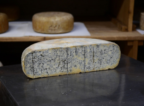 Alléosse Maitre Artisan Affineur Fromager - Bleu de Gex de Montagne AOP au lait cru 1kg