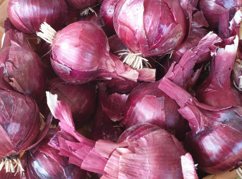 La Ferme de Milly - Anjou - Colis oignons rouges BIO 10kg
