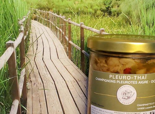 Champinette et Aromates - Pleurotes Thaï
