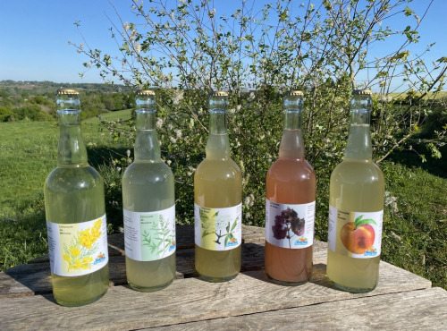 Ferme Sinsac - Assortiment de Pétillants (lot de 2 x 3 saveurs) sans alcool