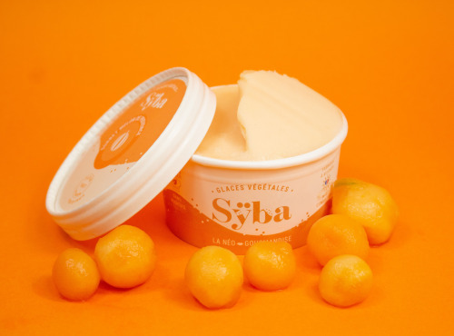 Sÿba - Glaces végétales - Sorbet Melon - 6x120ml