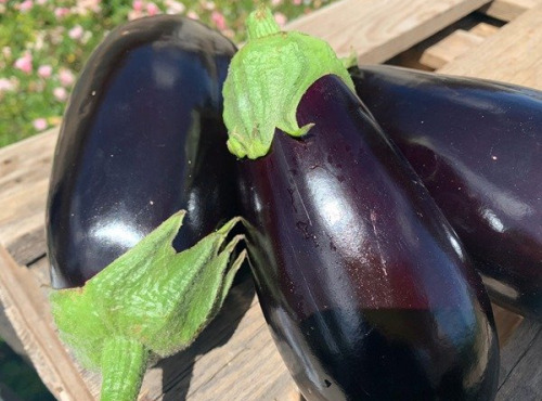 ChâteauFer - Aubergines 1kg