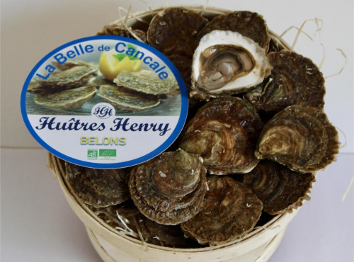 Huîtres Henry - 50 Huitres plates belons BIO Petites