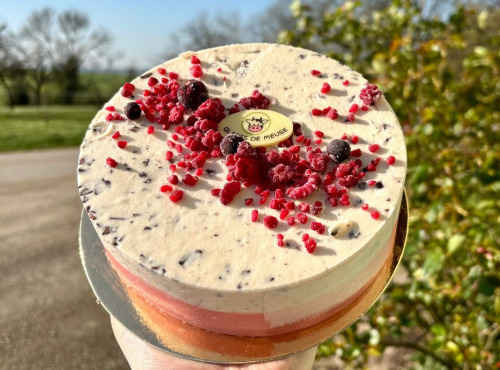 Glaces de Meuse - Duo glacé " Fraise & Stracciatella" (6/8 parts)