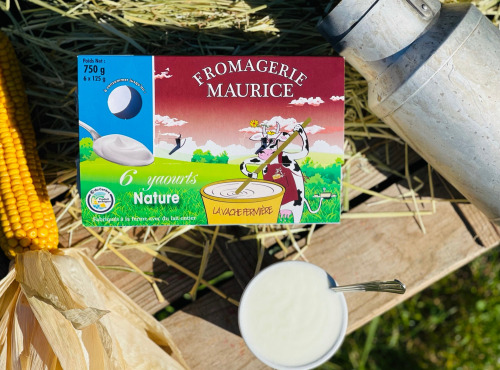Fromagerie Maurice - 4 Packs de Yaourts Nature x6
