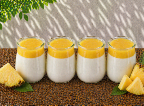 Gaec de l'Elanion - Yaourt Confiture Ananas x4