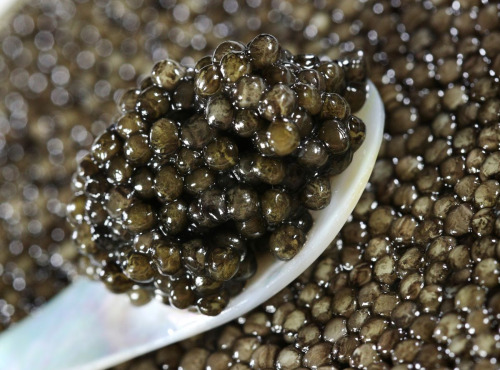 Caviar Perle Noire - Caviar Baerii "Impertinent" 50g