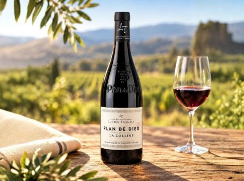 Domaine Lucien Tramier - AOC Plan de Dieu rouge 2024 La Colline Bio