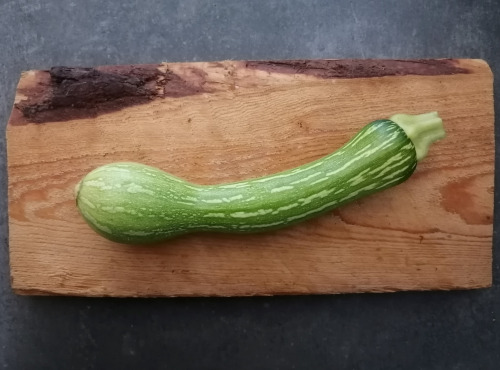 Ferme de Carcouet - Courgettes Bio - 3 kg