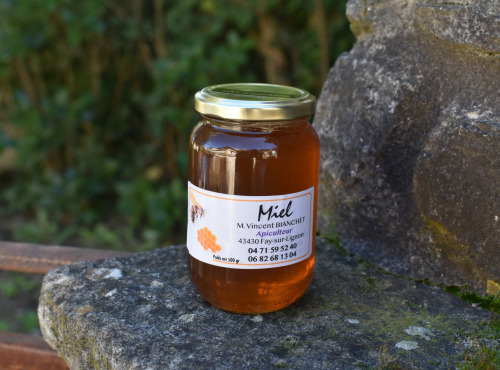 La Truite du Mézenc - Miel de Printemps - 500g