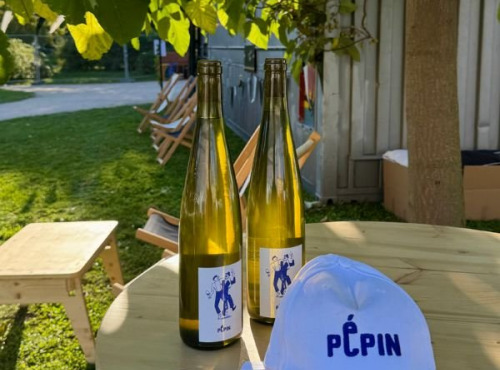 Pépin - Vin blanc Riesling Pépin 6x75cl