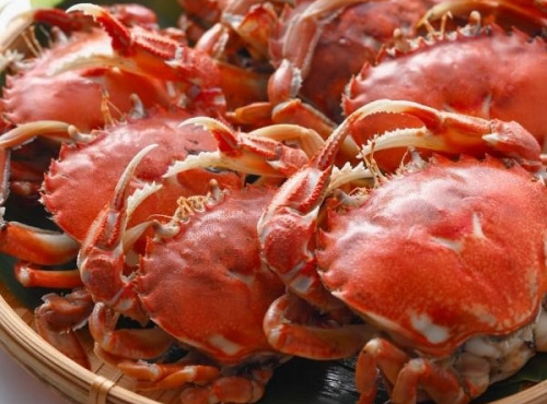 Saint Kerber - Tourteaux +1kg en lot de 6kg