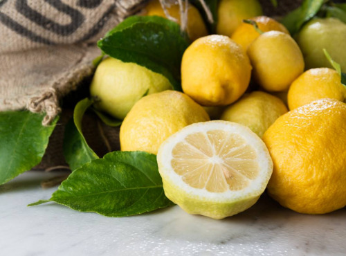 Maison Gannac - 8kg Citrons de Menton IGP