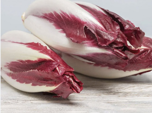 L'OLIVERAIE DU COUDON - ENDIVE ROUGE 2,5 KG