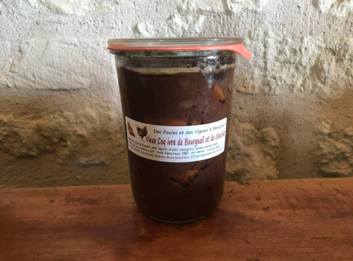 Des Poules et des Vignes à Bourgueil - Coq ivre de Bourgueil et de chocolat