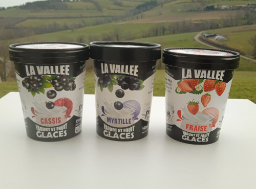 Les Glaces de la Vallée - Coffret Yaourt et Fruits "la Vallée" 12 pots de 500 ml