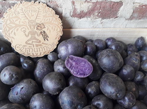 Ferme de Cernunnos - Pommes de terre nouvelles Gaïane Bio - 1 kg