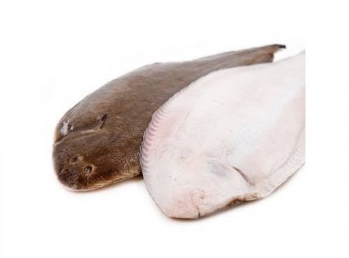 Poissonnerie Paon - Sole : sans peau PAC 1kg - 1.2kg