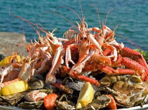 Poissonnerie La Piriacaise - plateau de fruits de mer pour une personne