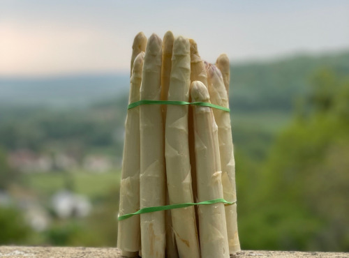 Les Asperges et Framboises du Soissonnais - Asperges Blanches Calibre 16-22 - 1kg