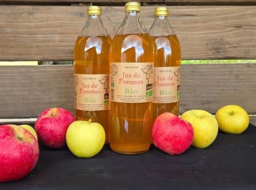 Le verger bio de Quinsac - Lot de 3 jus de pomme 1L BIO et DEMETER