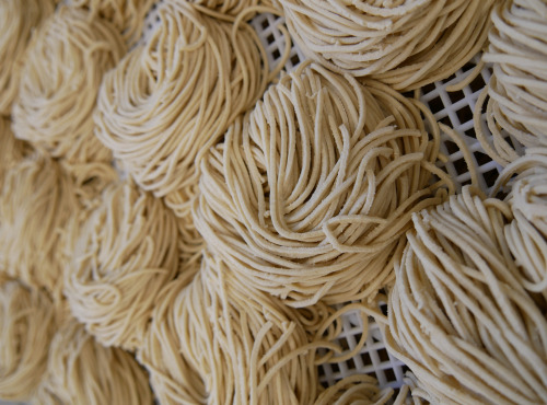 Lioravi, l'authentique pâte fraîche ! - [Précommande] Colis de Pâtes Bio Ramen 4x250g