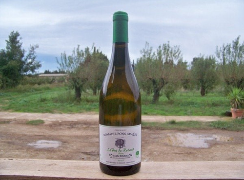 Domaine Pons Gralet - Vin Blanc - AOP Cotes du Roussillon 2023 Bio x24