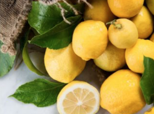 Maison Gannac - 2,5 Kg de Citrons de Menton IGP