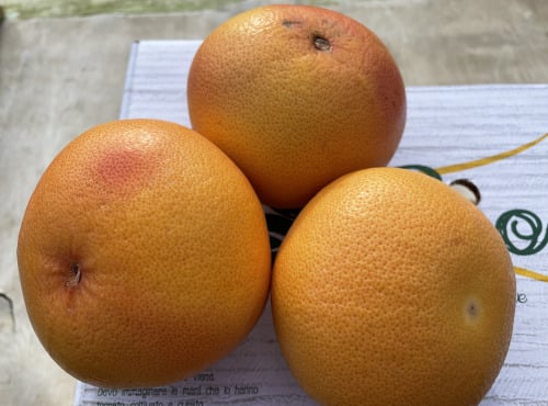 Le Potager de Sainte-Hélène - Pomelos bio de Sicile x 3