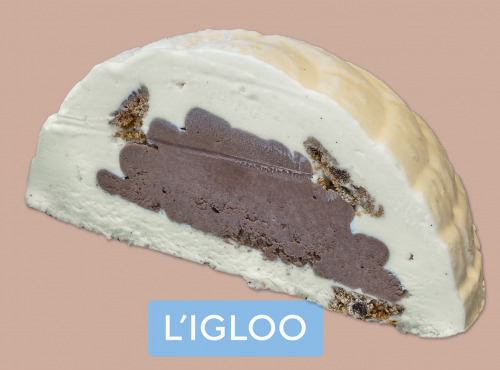 Mademoiselle Fayel - L'igloo