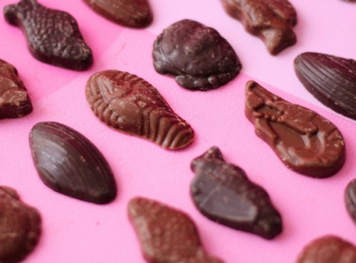 Maison Le Roux - La Friture Chocolat - Noir et Lait