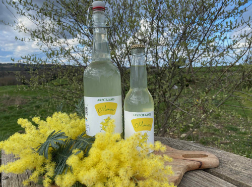 Ferme Sinsac - Pétillant de Mimosa sans alcool en 33 cl