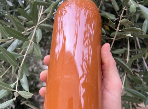 Domaine Reverchon - Nectar d'abricot 1L