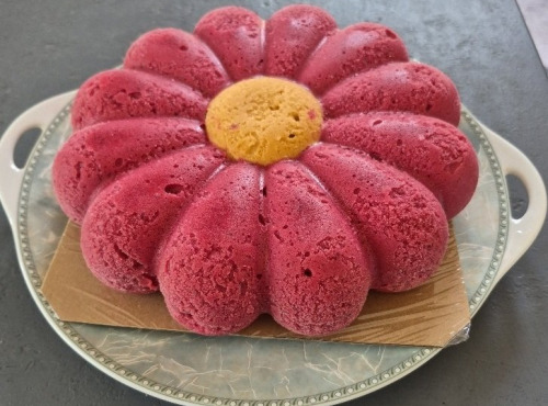 Le Jardinier Glacier - PAQUERETTE FRUITS ROUGES ABRICOT