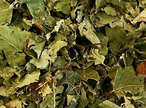 Esprit Zen - Feuilles de Bouleau coupées - Tisane - 2 Sachets de 500g