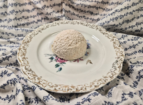 La Fermière - Fromage de chèvre Dôme