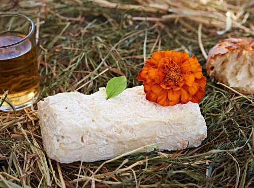 Chèvrerie de Ker Anna - Brique fraîche