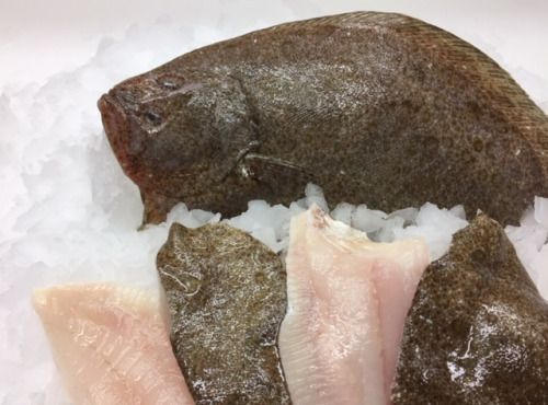 AQUADIS NATURELLEMENT - [caisse 2kg] Barbue vidée Avec Peau, cal 700/1200gr
