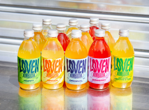 Brasserie L'Indispensable LOVEN Kombucha - Kombucha Pack Découverte - 12x33cl