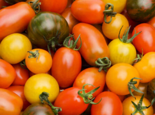 Maréchal Fraicheur - Tomates cerises méli-mélo - 1 kg