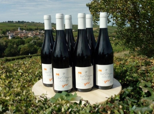 Domaine Doudeau-Leger - Vent d'Ange - Vin de Pays du Val de Loire Rouge IGP 2022 - 6 Bouteilles