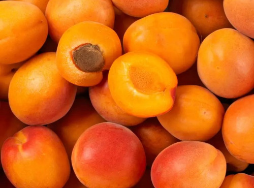 L’Oliveraie du Coudon - ABRICOT POUR CONFITURE 5KG