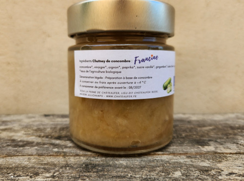 ChâteauFer - Chutney de concombre - Par Francine