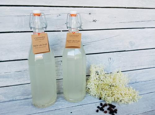 L'herbandine - Kéfir de Fruit - Fleur de Sureau - 2x1L